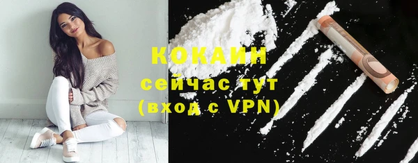 шишки Балахна