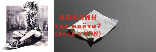 шишки Балахна