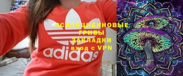 шишки Балахна