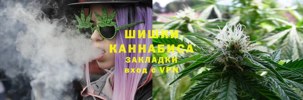 шишки Балахна