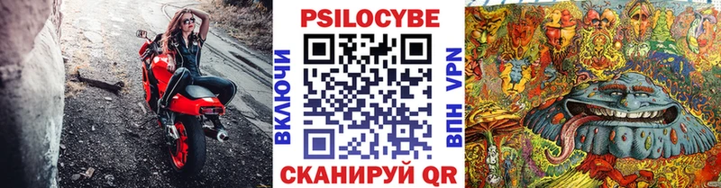 Галлюциногенные грибы Cubensis  купить наркоту  Туринск 